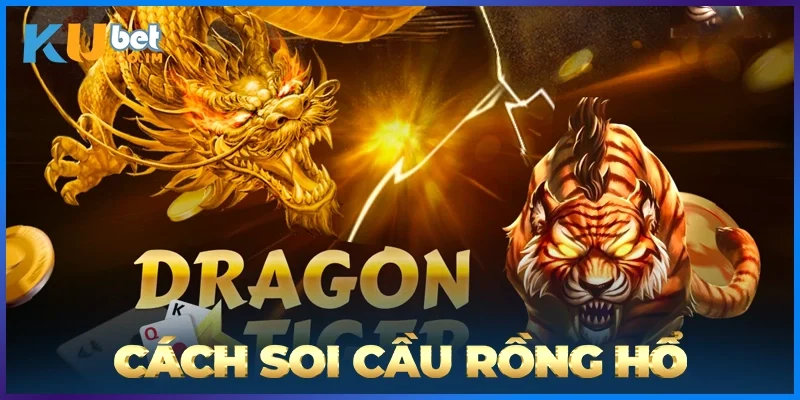 Cách Soi Cầu Rồng Hổ