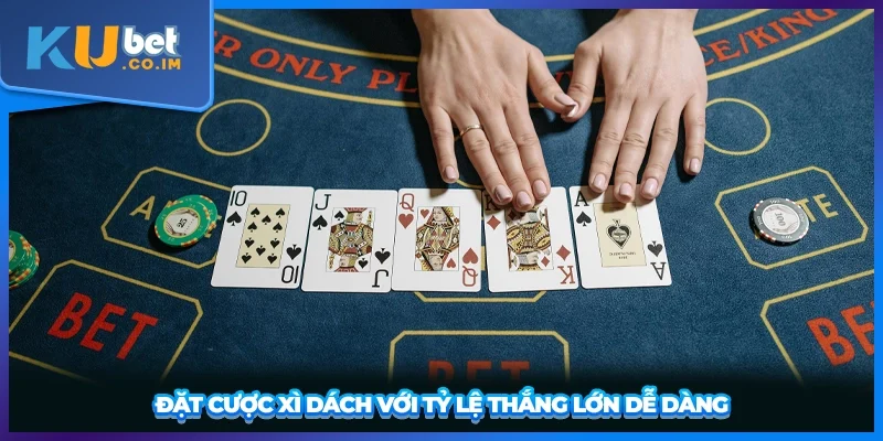 Đặt cược xì dách với tỷ lệ thắng lớn dễ dàng