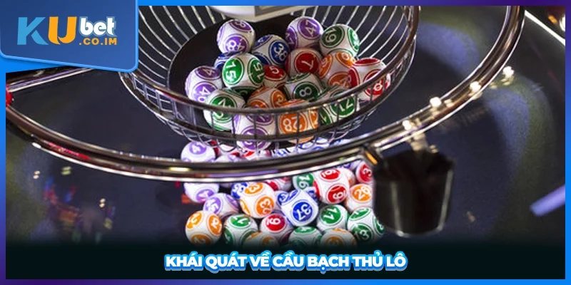 Khái quát về cầu bạch thủ lô