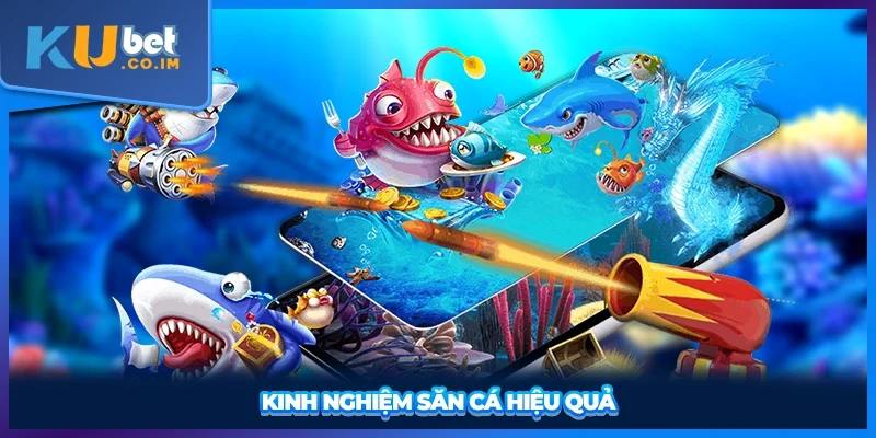 Kinh nghiệm săn cá hiệu quả